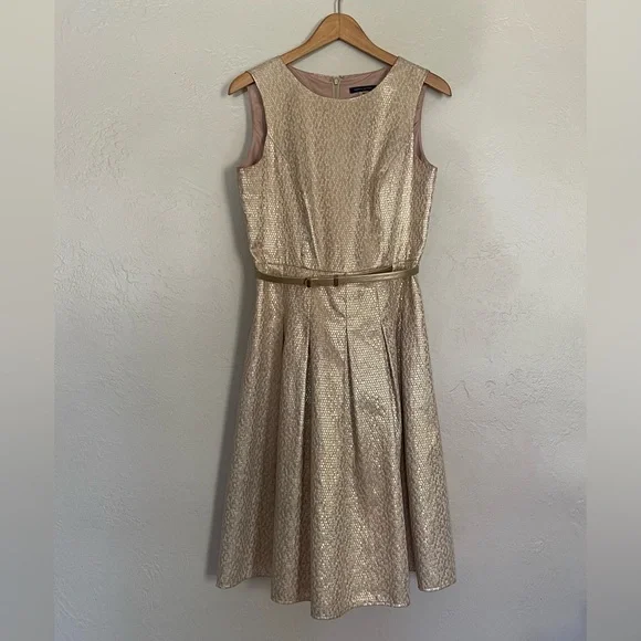 green emerald velvet dress Tommy Hilfiger Womens Fit and Flare Dress Guava 14 at Amazon Women's  Clothing store